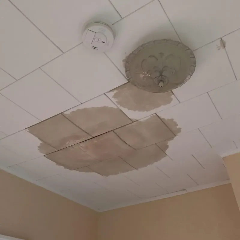 Ceiling Water Damage Repair in Warren County, GA