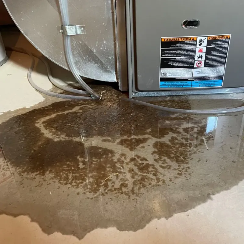 Pipe Burst and Leak Restoration in Warren County, GA